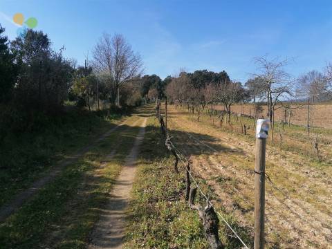 Quinta - Boidobra, Covilhã