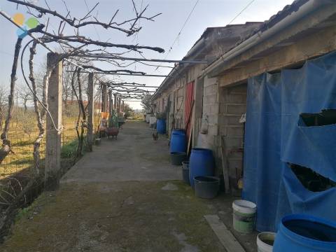 Quinta - Boidobra, Covilhã