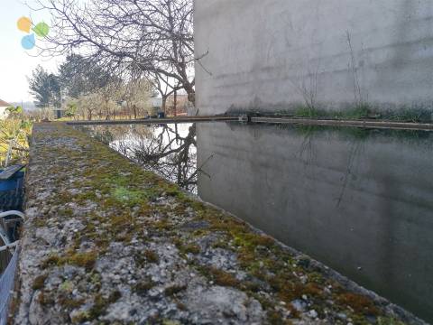 Quinta - Boidobra, Covilhã