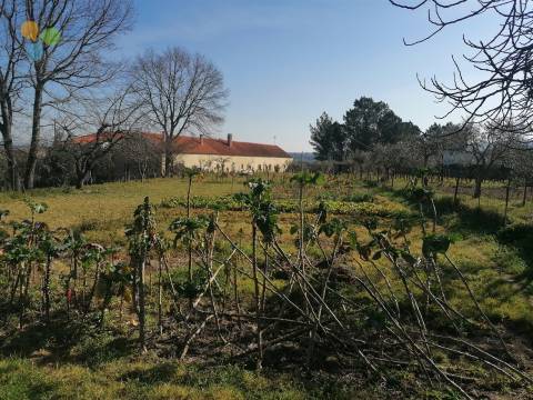 Quinta - Boidobra, Covilhã