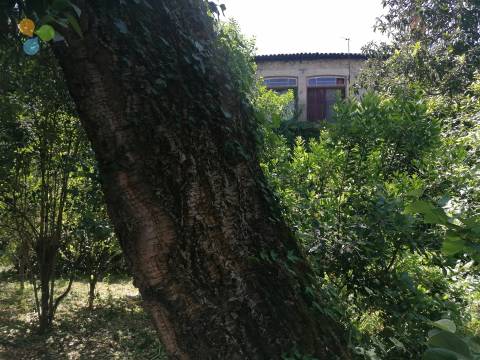 Prédio  Venda em Covilhã e Canhoso,Covilhã