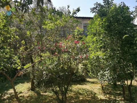 Prédio  Venda em Covilhã e Canhoso,Covilhã