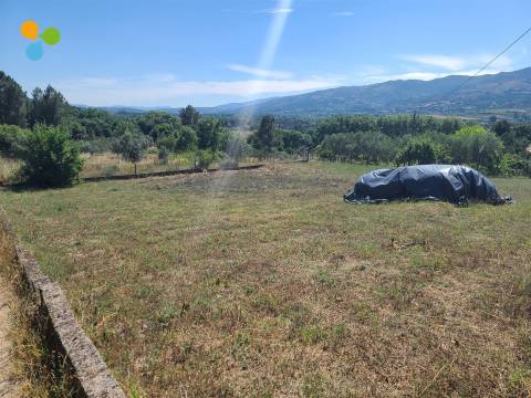Lote de Terreno  Venda em Belmonte e Colmeal da Torre,Belmonte