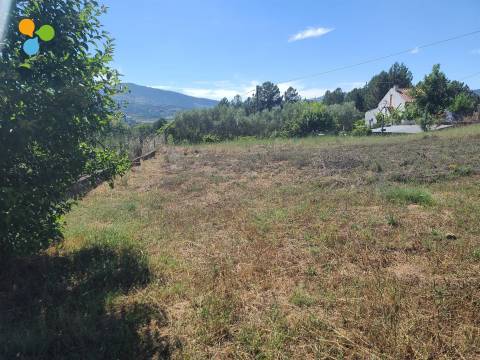 Lote de Terreno  Venda em Belmonte e Colmeal da Torre,Belmonte