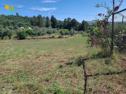 Lote de Terreno  Venda em Belmonte e Colmeal da Torre,Belmonte