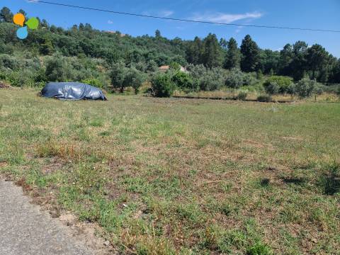 Lote de Terreno  Venda em Belmonte e Colmeal da Torre,Belmonte