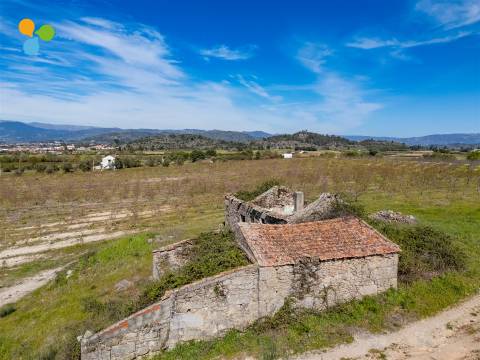 Pomar Inguias, Belmonte