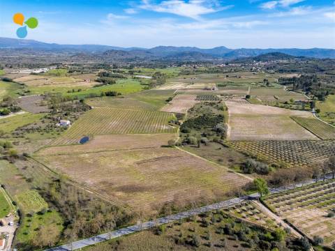 Pomar Inguias, Belmonte