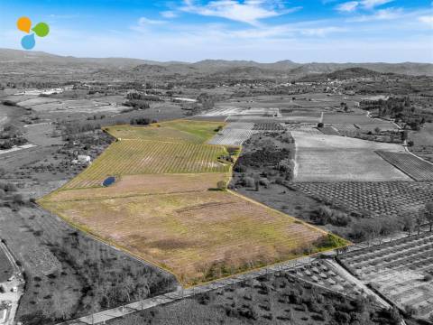 Pomar Inguias, Belmonte