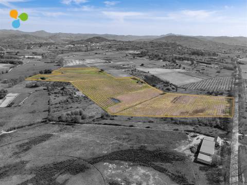 Pomar Inguias, Belmonte