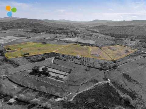 Pomar Inguias, Belmonte