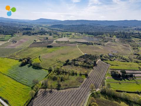 Pomar Inguias, Belmonte