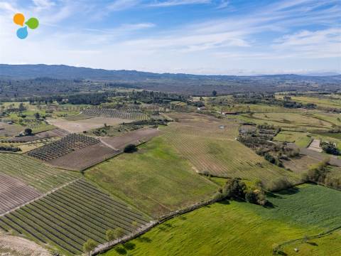 Pomar Inguias, Belmonte