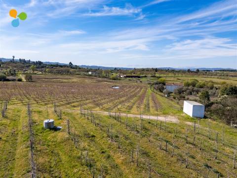 Pomar Inguias, Belmonte