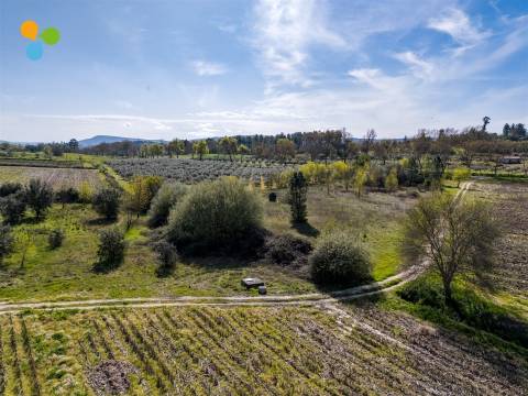 Pomar Inguias, Belmonte