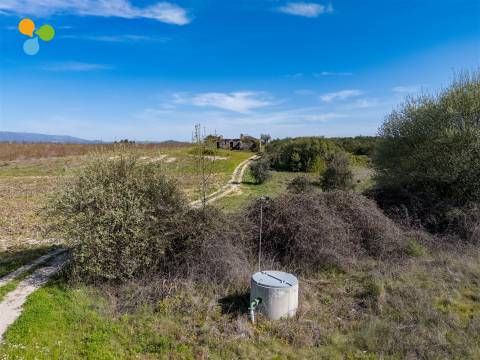 Pomar Inguias, Belmonte