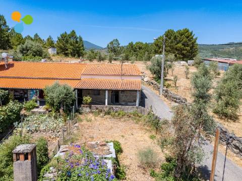 Quintinha com moradia geminada para remodelar – Borralheira, Teixoso