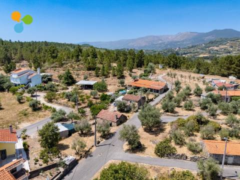 Quintinha com moradia geminada para remodelar – Borralheira, Teixoso