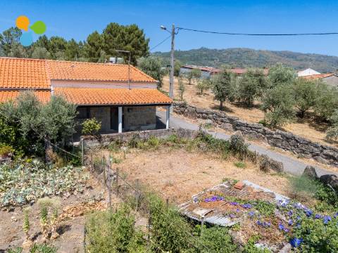 Quintinha com moradia geminada para remodelar – Borralheira, Teixoso