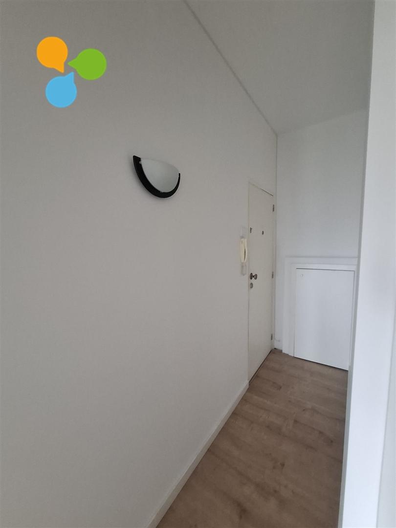 Apartamento T1 Arrendamento em Cedofeita, Santo Ildefonso, Sé, Miragaia, São Nicolau e Vitória,Porto