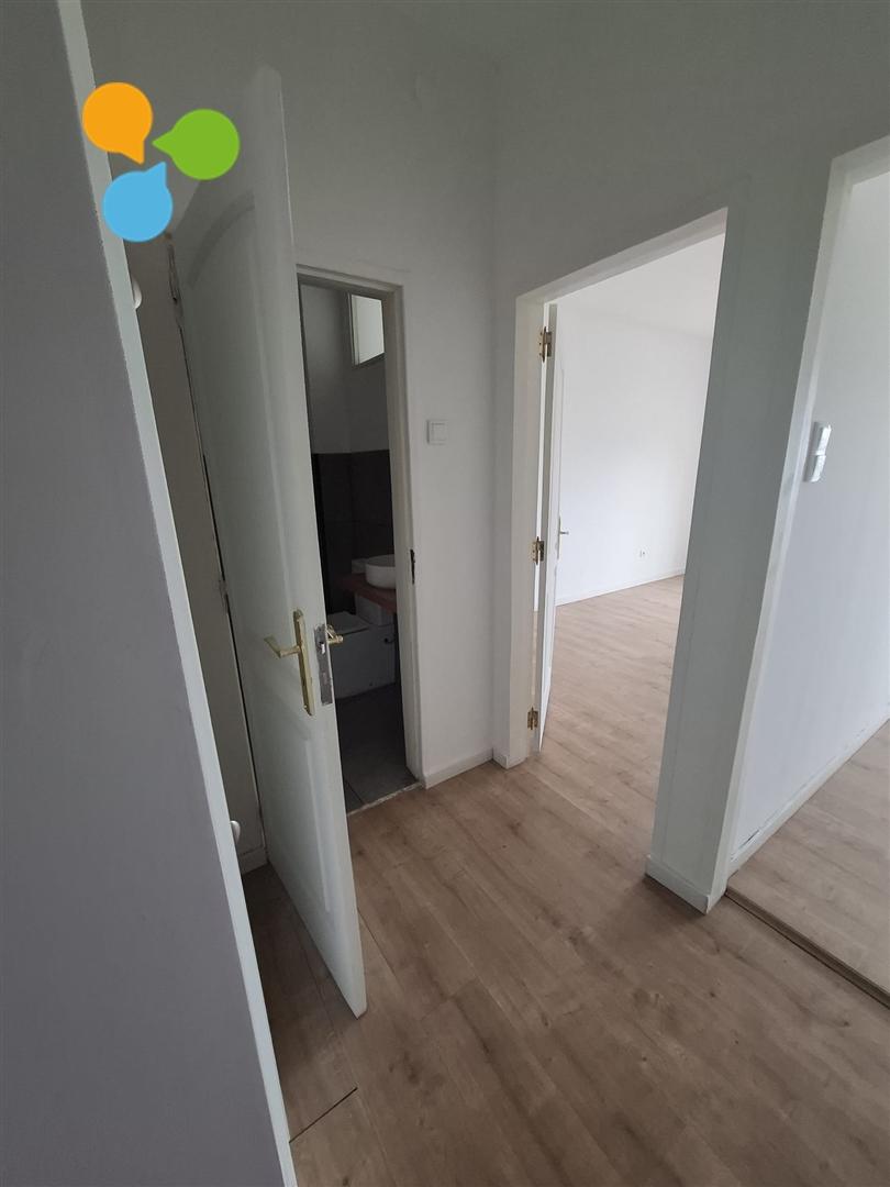 Apartamento T1 Arrendamento em Cedofeita, Santo Ildefonso, Sé, Miragaia, São Nicolau e Vitória,Porto