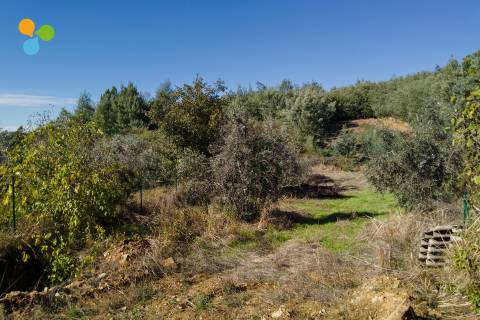 Moradia para Restaurar T1 Venda em Peso e Vales do Rio,Covilhã