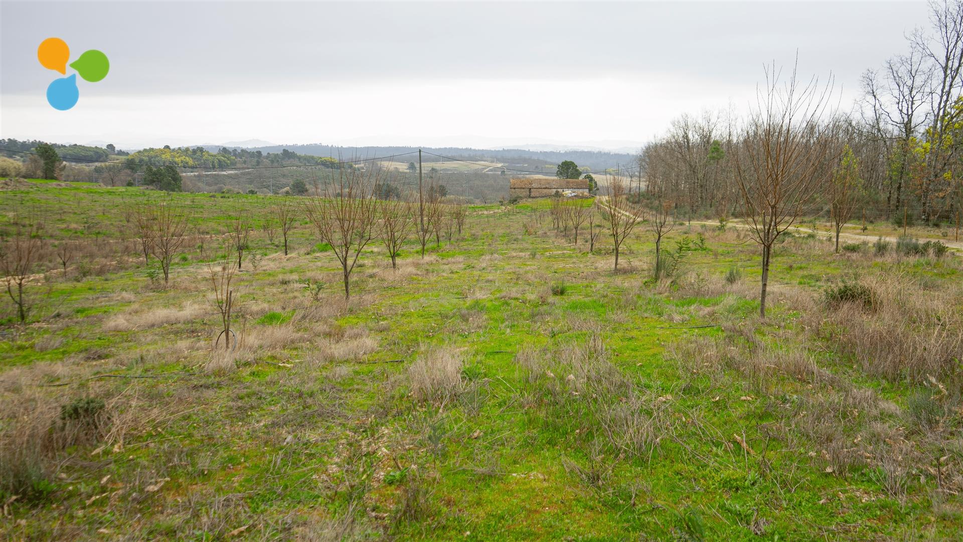Quinta em Terlamonte – Covilhã