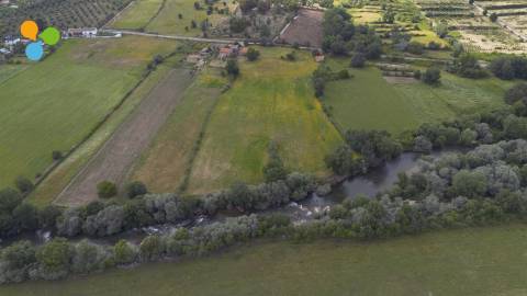 Quinta - Boidobra