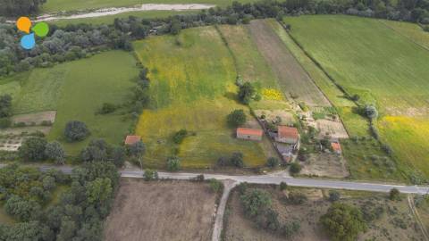 Quinta - Boidobra
