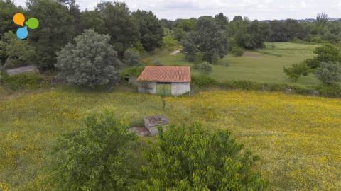 Quinta - Boidobra