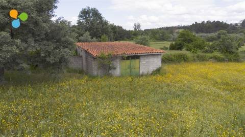 Quinta - Boidobra