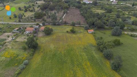 Quinta - Boidobra