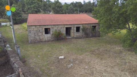 Quinta - Boidobra