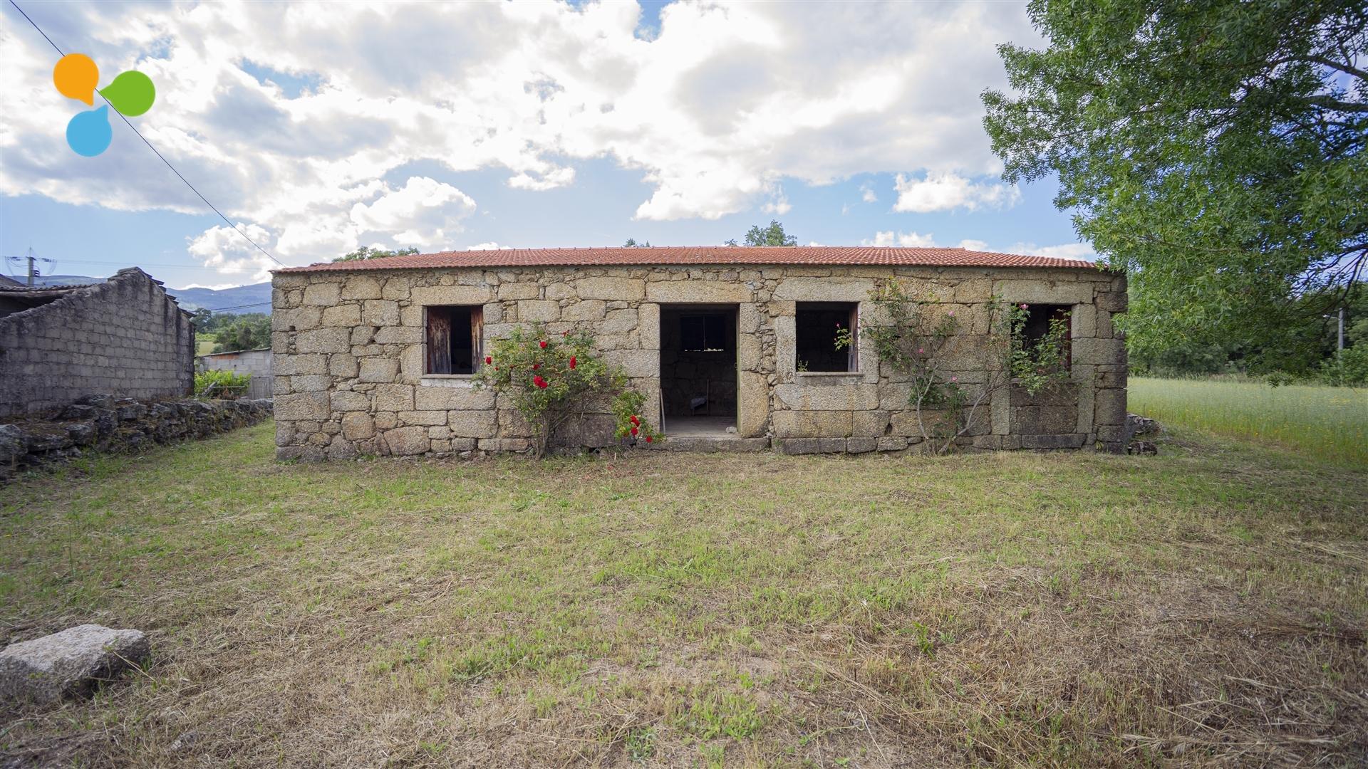 Quinta - Boidobra