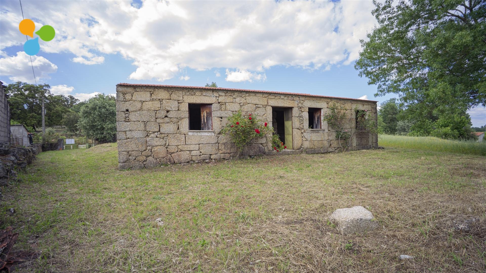 Quinta - Boidobra