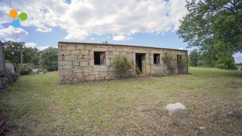 Quinta - Boidobra