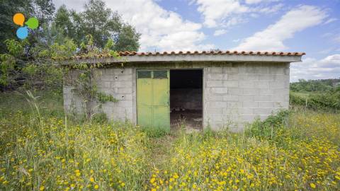 Quinta - Boidobra