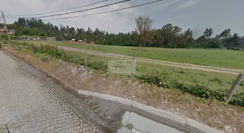 Terreno de 59.000m2 para construção à BIAL