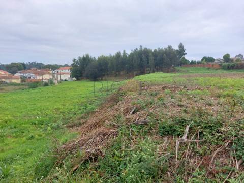 Terreno de 14 000 m2 em Serzedo
