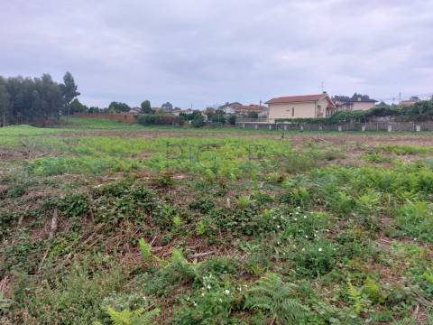 Terreno de 14 000 m2 em Serzedo