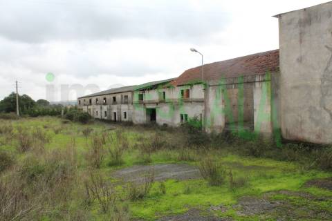 Fábrica/Indústria  Venda em Póvoa da Isenta,Santarém