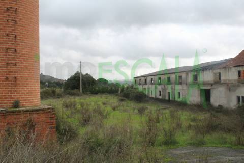 Fábrica/Indústria  Venda em Póvoa da Isenta,Santarém
