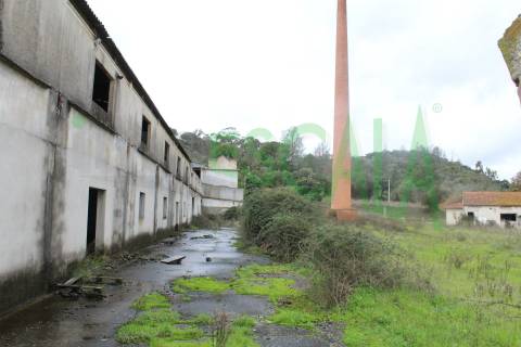 Fábrica/Indústria  Venda em Póvoa da Isenta,Santarém