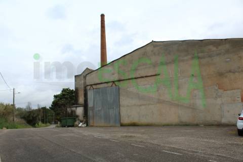 Fábrica/Indústria  Venda em Póvoa da Isenta,Santarém