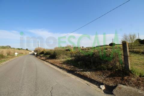 Terreno Misto  Venda em Manique do Intendente, Vila Nova de São Pedro e Maçussa,Azambuja