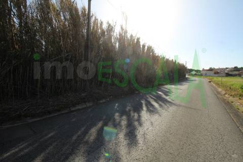 Terreno Misto  Venda em Manique do Intendente, Vila Nova de São Pedro e Maçussa,Azambuja