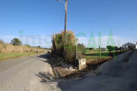 Terreno Misto  Venda em Manique do Intendente, Vila Nova de São Pedro e Maçussa,Azambuja