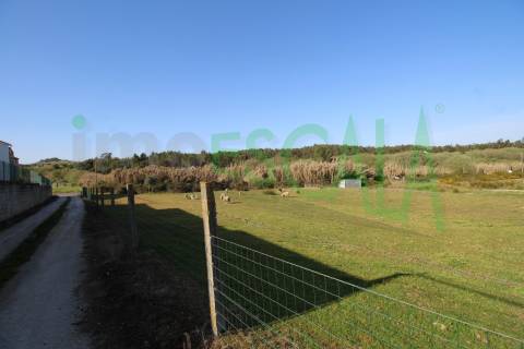 Terreno Misto  Venda em Manique do Intendente, Vila Nova de São Pedro e Maçussa,Azambuja