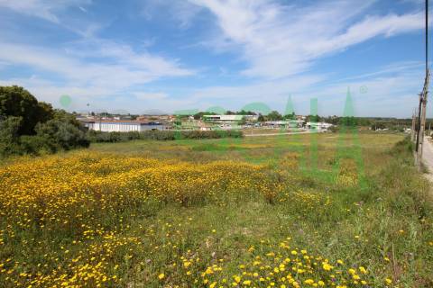 Terreno Para Construção  Venda em Vila Chã de Ourique,Cartaxo
