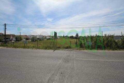 Terreno Para Construção  Venda em Vila Chã de Ourique,Cartaxo